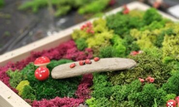 SAMBLAKUNST – 24 JAANUAR