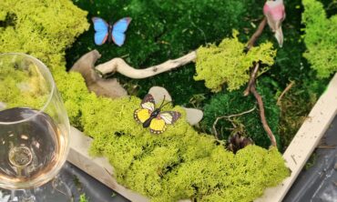 SAMBLAKUNST – 21 MAI